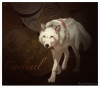 the_coin_collector_by_daesiy-d3aruav.png