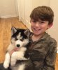 8-year-old-boy-with-brown-hair-and-eyes-with-siberian-husky-puppy-that-s-black-and-white-with-...jpg