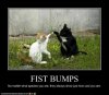 Kitty Fist Bump.jpg