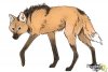 how-to-draw-a-wolf-maned-wolf-step-10.jpg