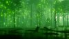 fairy-lights-fantasy-night-forest-footage-084852155_prevstill.jpeg