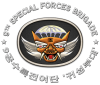 9th Special Forces Brigade [9 SF BDE] [Ghost][ROKA] [Patch 3D][SE][2x2].png