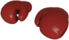 killing gloves of boxing.png