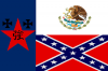 New Texas Flag.png