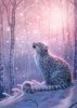 leopard_art_snow_leopard_145675_1838x2600.jpg