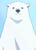 polar-bear-a-polar-bear-in-love-125838.jpg