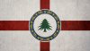 fallout__flag_of_the_new_england_commonwealth_by_okiir_d8x63xm-fullview.jpg