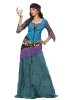 fabulous-fortune-teller-gypsy-womens-plus-size-costume-.jpg