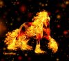 fire_horse_by_breyvan-d31ce6f.jpg