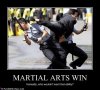 Martial Arts Win from Pinterest.jpg