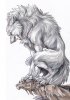 white_werewolf_by_exileden_d2349it-fullview.jpg