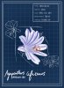 African Lily Blueprint.jpg