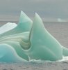 iceberg_narrowweb__300x306,0.jpg