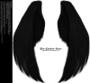 furred_feathered_wings__black_png_by_thy_darkest_hour-d5cx1z7.png