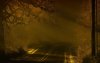 Road-Night-Fog-2560-x-1600-768x480.jpg