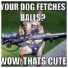 Your-dog-fetches-balls-rifle.jpg