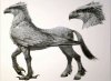 Hippogriff at Amino Apps.jpg