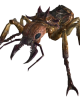 Giant_soldier_ant.png