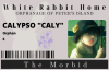 Caly's ID.png