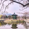 Spring in Korea_ 40 Photos to Convince You It's the Best Time to Visit South Korea - Televisio...jpg