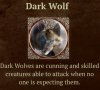 dark wolf.jpeg