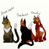 Cats of the rogue clan'.png
