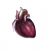 Demon Heart.png