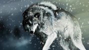 Angry-Faced-Wolf-Wallpaper.jpg