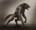 werewolf-picture-1024x846.jpg