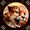 cheetah headd.jpg