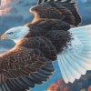 By the Panel _ American Eagle Panel Fabric _  from Abraham Hunter, Patriots Collection, Robert...jpg