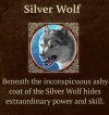 silver wolf.jpeg