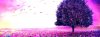 Purple_Flower_Nature_Tree_Field_Lonely_Tree_Flower_sky_stars_fantasy_artwork_2305x864.jpg