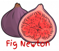 Fig Newton.png