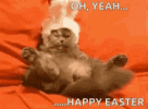 happy-easter-funny.gif