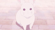 bunny-anime.gif