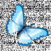 2000-bluebutterfly.gif
