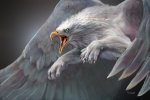HD-wallpaper-gryphon-fantasy-wings-paw-eagle-white-hagge-art-luminos-creature.jpg