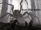 Giant Wolf Spider.jpg