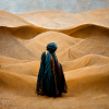 wew_desert_sand_arabian_magical_tribal_turban_robes_biblical_hu_de58b678-d996-47d9-b0bb-03ec09...png