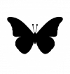 black-butterfly.png