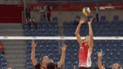 spike-volleyball.gif