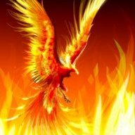 crimson phoenix