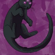 the black catt