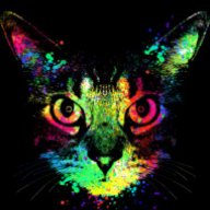 Technicolor Cat