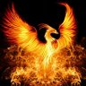 PhoenixRising