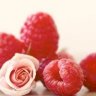 raspberryrose