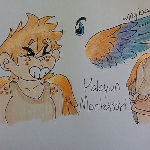 Halcyon Montessori