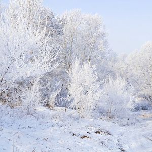winter-landscape-13527108010wC.jpg