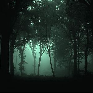 Hd-dark-forest-wallpaper-awesome